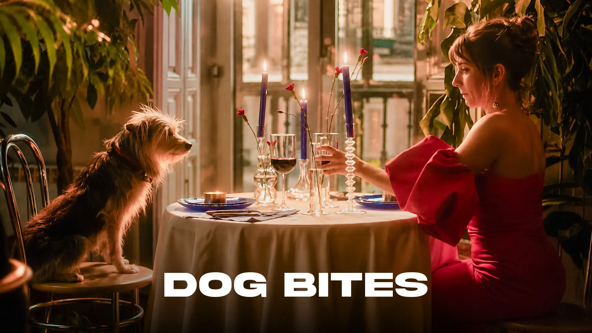 Dog Bites - Official Trailer