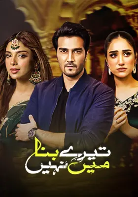 Tere Bina Mein Nahi