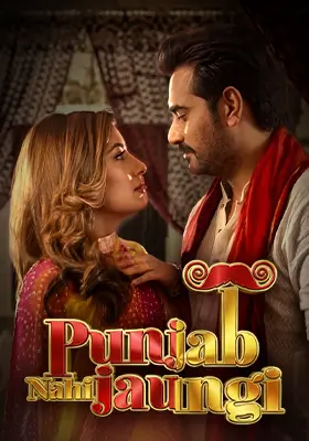 Punjab Nahi Jaungi