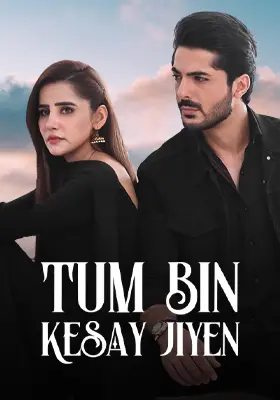 Tum Bin Kesay Jiyen