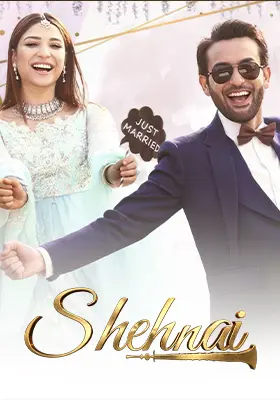 Shehnai