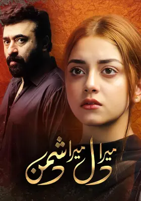 Mera Dil Mera Dushman