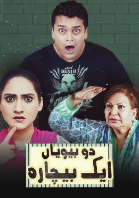 Do Biwiyan Ek Bechara