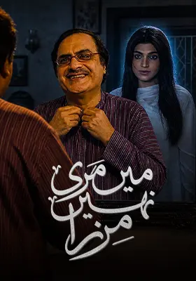 Mein Mari Nahi Mirza
