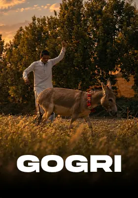 Gogri