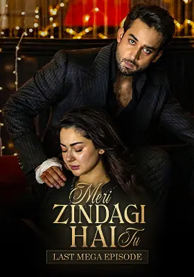 LAST MEGA EPISODE: Meri Zindagi Hai Tu